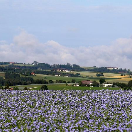 Ferienhof Neundlinger Niederwaldkirchen Εξωτερικό φωτογραφία
